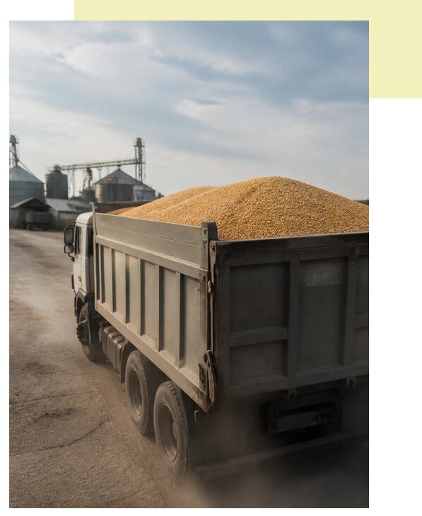 Перевозка сельхозпродукции навалом в Дмитров по цене от 3216 р. | Агросервис-Дмв